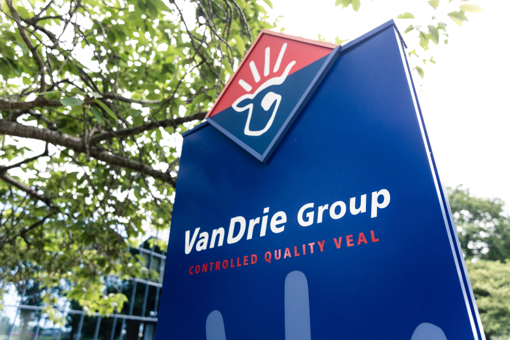vandrie-group.jpg