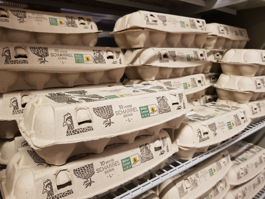 eieren-beter-leven-ah-albert-heijn-bouwens.jpg