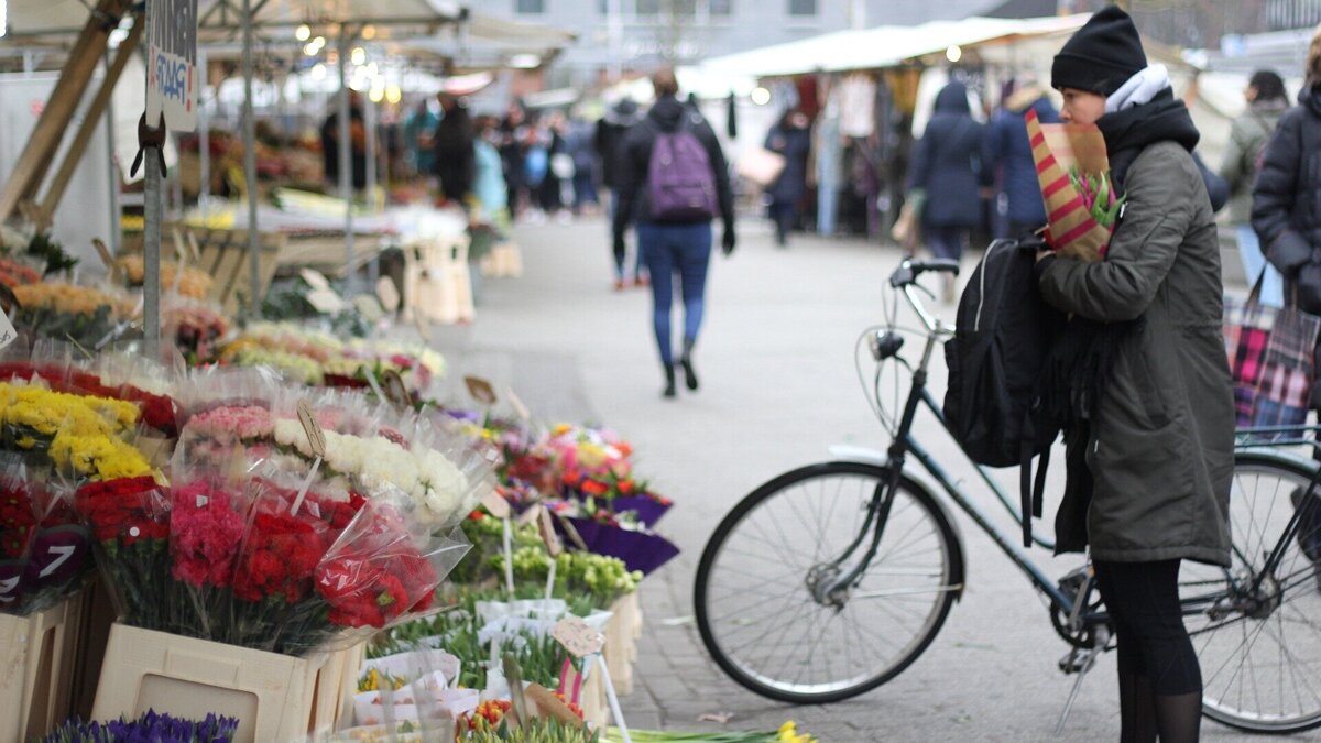 flowers-2696737_1920 (1).jpg