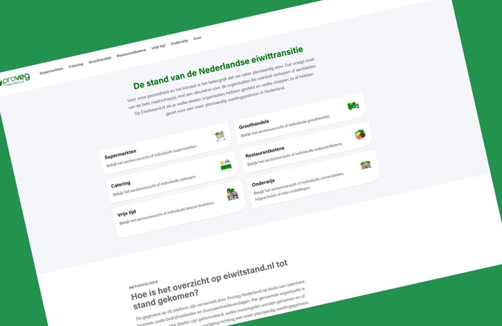 Ontwerp zonder titel (2).jpg