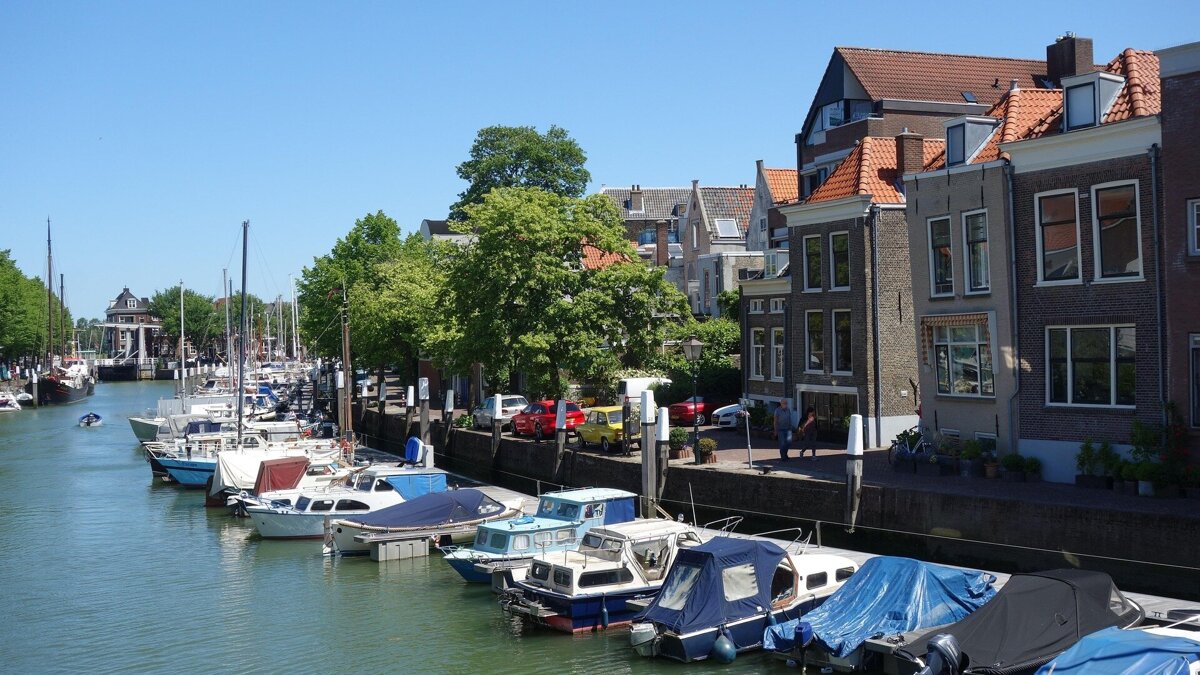 dassel-dordrecht-800328_1920
