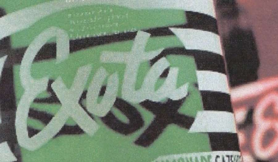 exota-a900x525.jpg