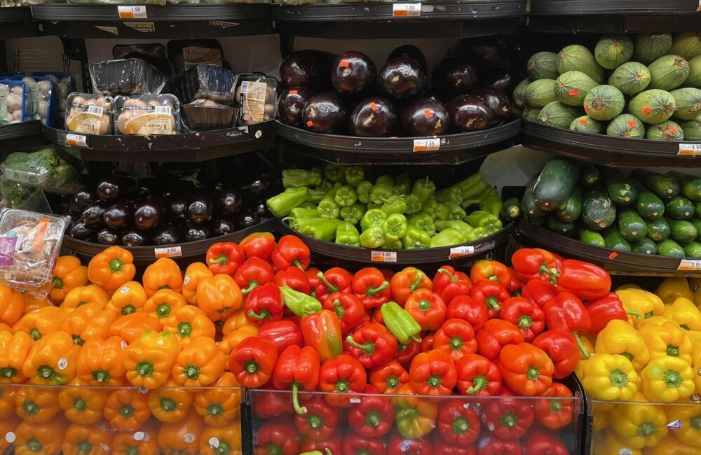 pexels-chixpix-26041803-27857668 (1).jpg