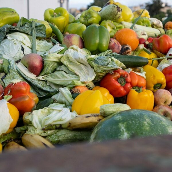 foodwaste challenge.jpg