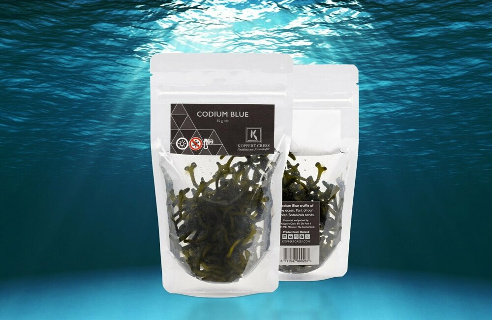 Premium WB CodiumBlue zakje_RGB-16-9-blue.jpg