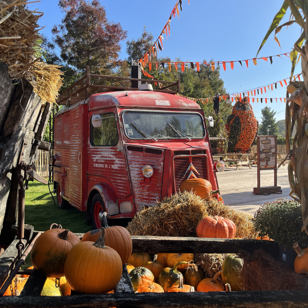 Halloween (Pumpkin Farm).jpg