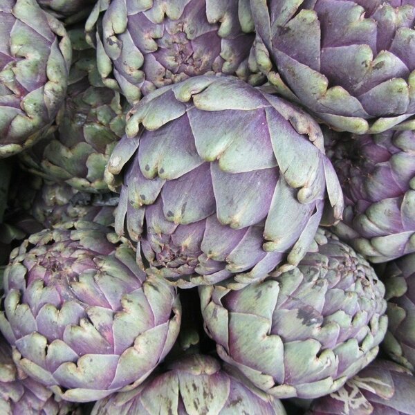 artichoke-267974_1920.jpg