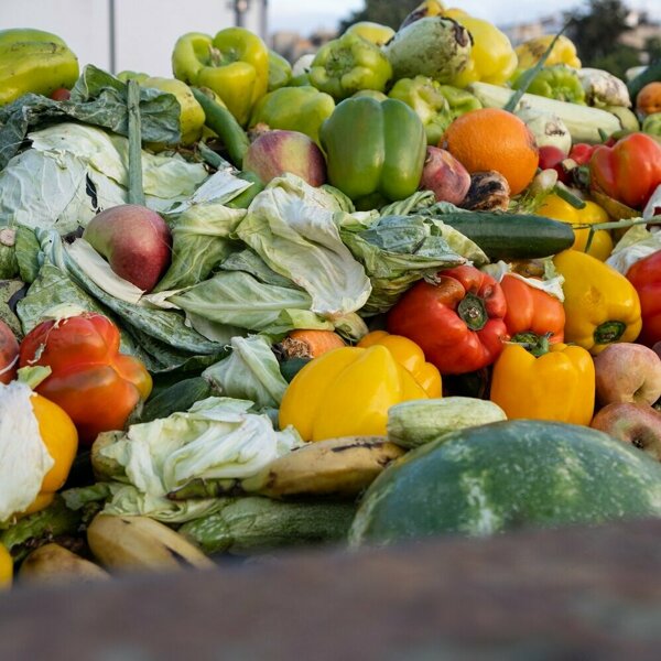 foodwaste challenge.jpg