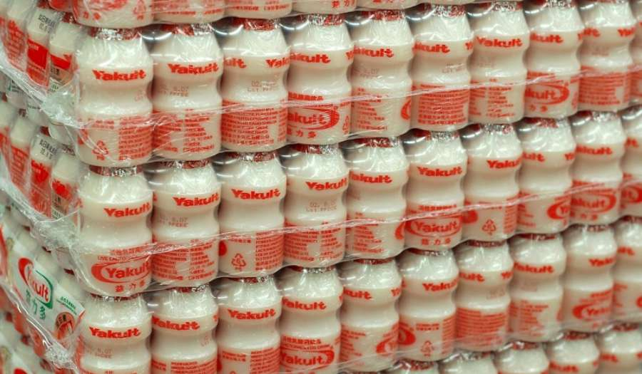 yakult-a900x525.jpg