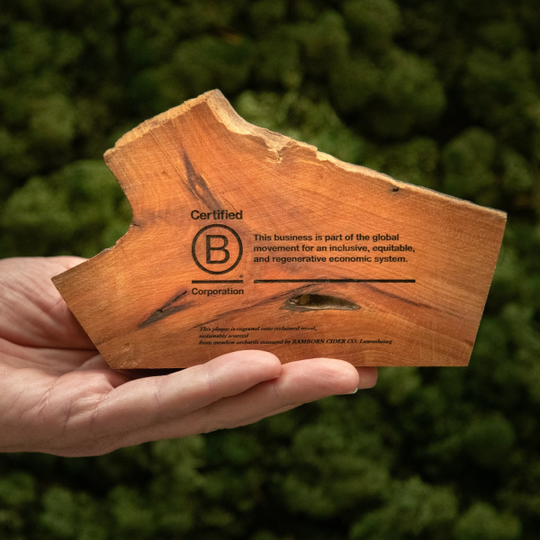 B-Corp-Certificering-in-hand (5).jpg