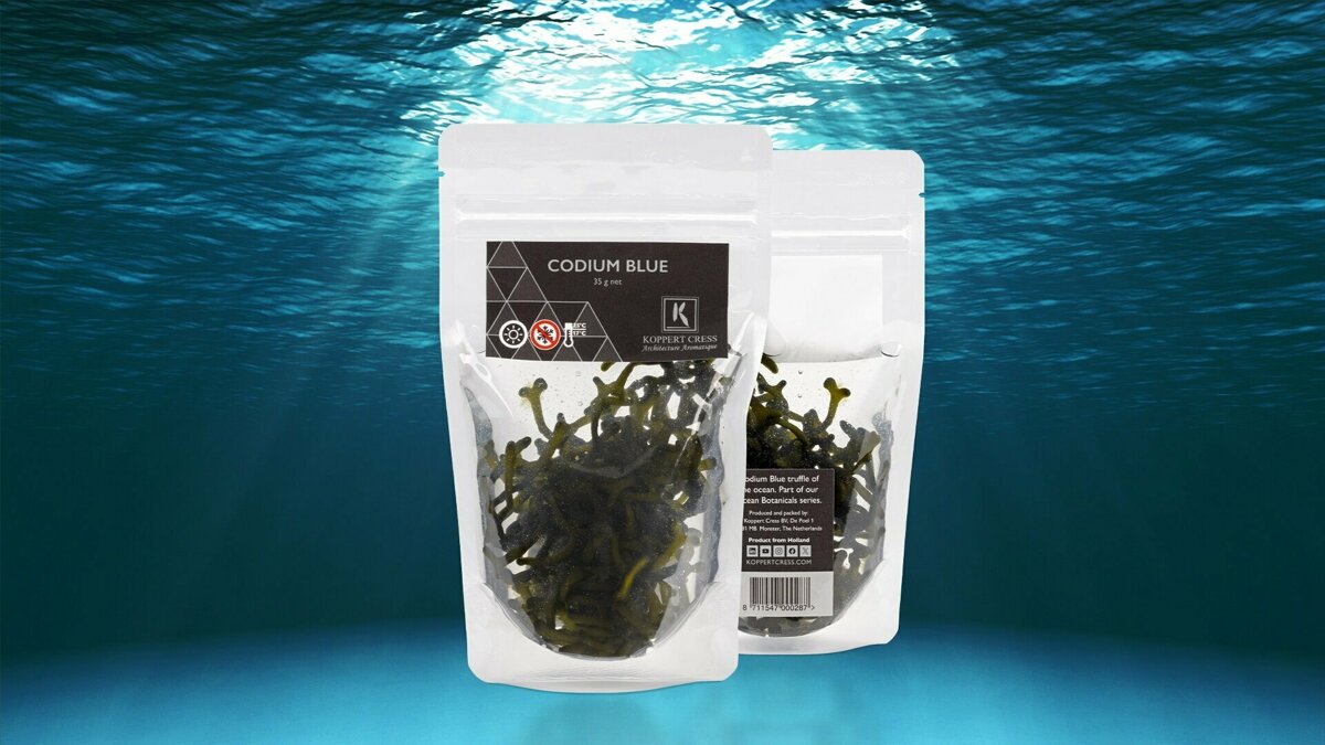 Premium WB CodiumBlue zakje_RGB-16-9-blue.jpg