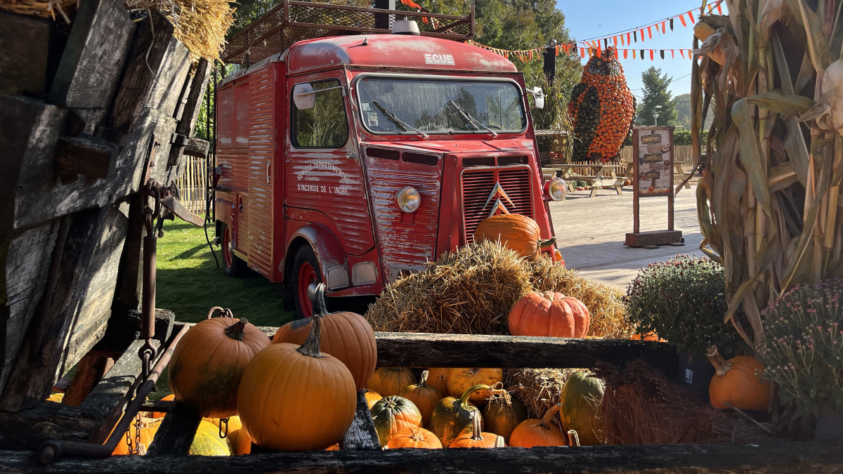 Halloween (Pumpkin Farm).jpg