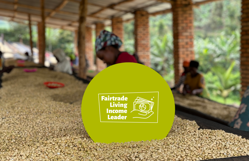 Living Income Leader.png