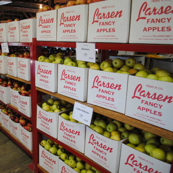 apples-346772_1920.jpg