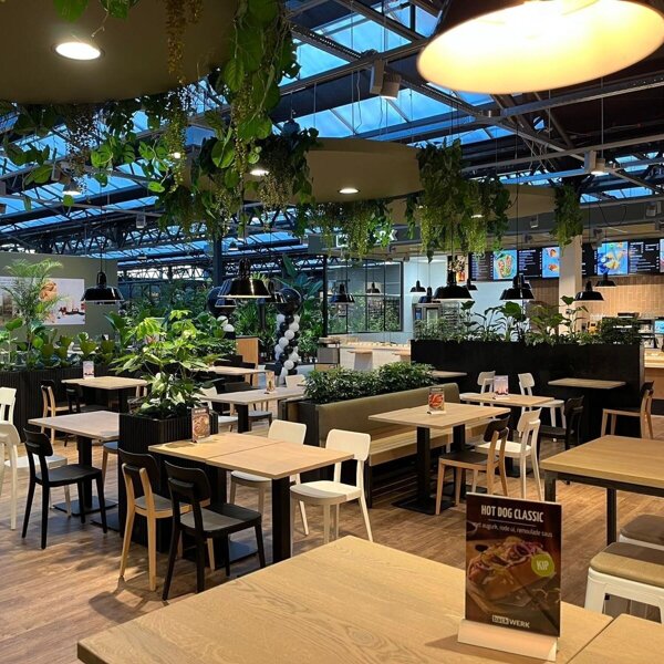 Intratuin Backwerk.jpg