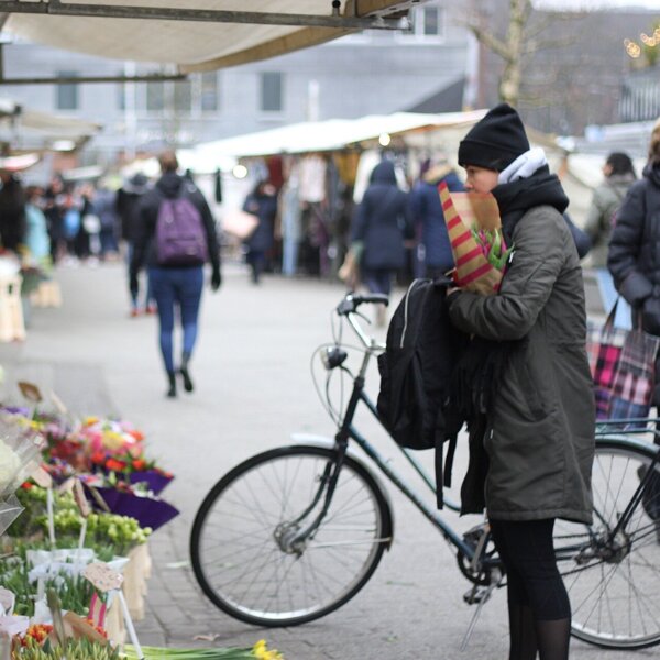 flowers-2696737_1920 (1).jpg