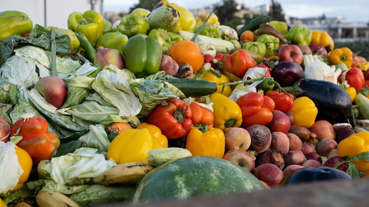 foodwaste challenge.jpg