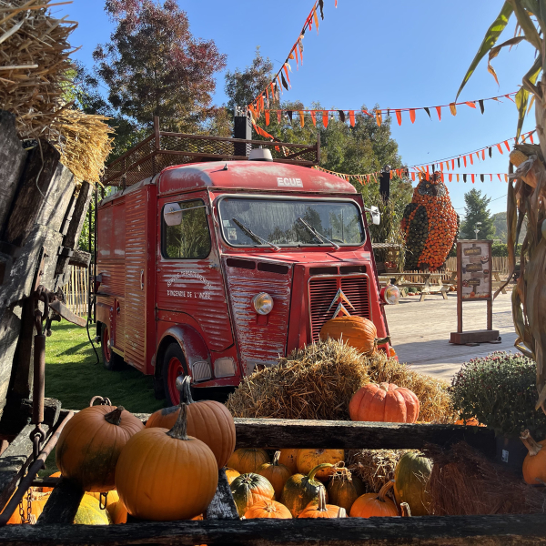 Halloween (Pumpkin Farm).jpg
