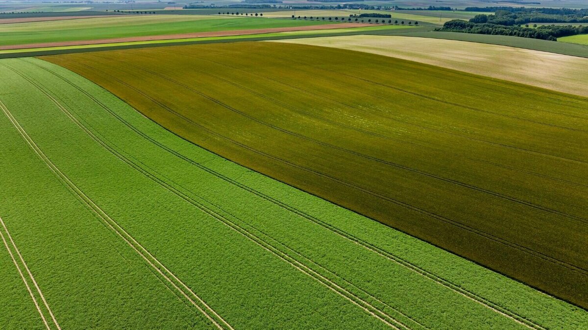 Heineken regeneratieve landbouw.jpg