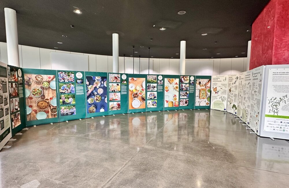 EU Expo - Week Without Meat overview.jpg