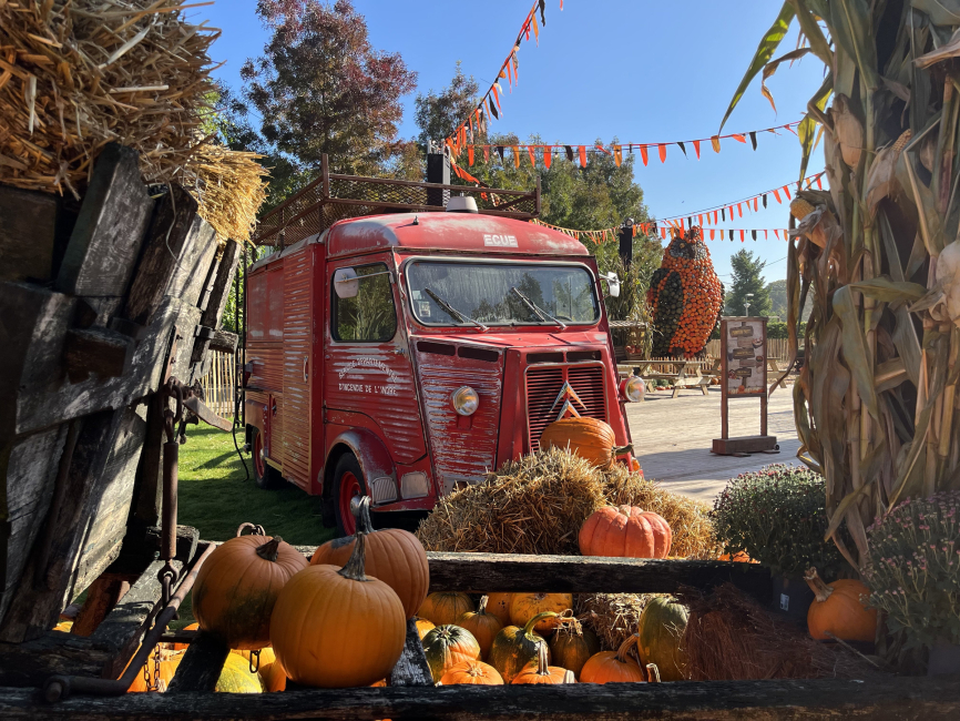 Halloween (Pumpkin Farm).jpg