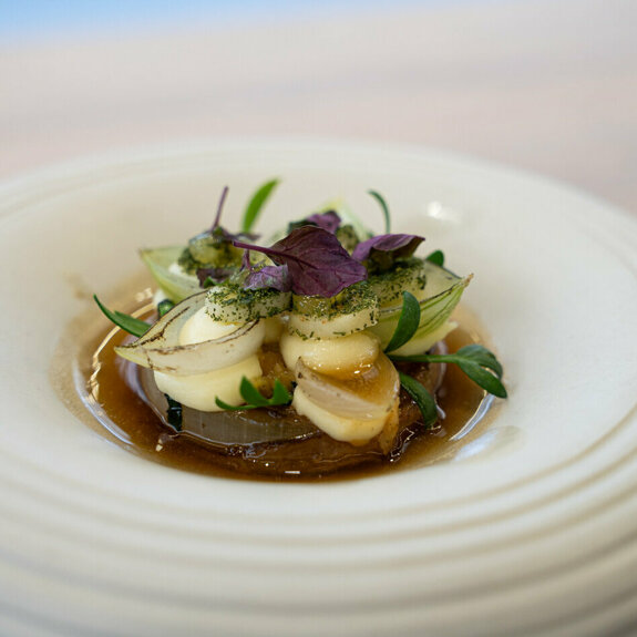 Gerecht team maeve.jpg