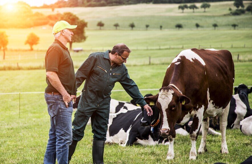 Arla Koeien Wij Boeren Melk Zuivel Nederland Boer.jpg