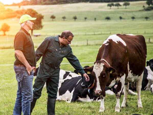 Arla Koeien Wij Boeren Melk Zuivel Nederland Boer.jpg